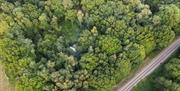 Wild Board Wood Aerial View