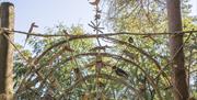 Community made entrance arch at the top of the woods