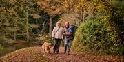 Family walking their dog by Westwood Lake in autumn