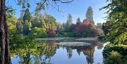 Autumnal view over Middle Lake at Sheffield Park and Garden