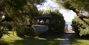 Footpath to the coast with Tamarisk