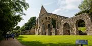 ruins of battle abbey