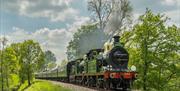 Bluebell Railway, Sheffield Park, steam train and carriages on railway tracks, engine is puffing steam, with leafy trees and grass alongside the track