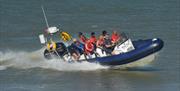 Seal boat trips Rye Harbour