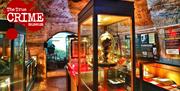 exhibits inside glass cases