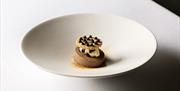 Venezuelan Chocolate Namelaka, Parsnip Ice Cream, Brioche, Birch Syrup