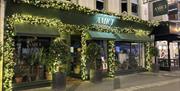 Green Shop front with garland and bright sparkling christmas lights