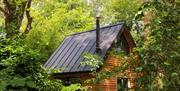Woodland Cabins - Badgers Rest and Foxes Hollow