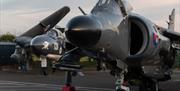 Sea Harrier & Sea Vixen