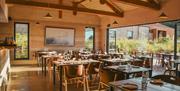 the restaurant showing the tables and light streaming from the outdoor area