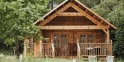 Daisy chain cabin