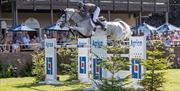 showjumper at Hickstead jumping a double fence