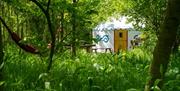 Plush Tents Glamping accommodation through the green trees and grasses