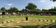 an outdoor maze in the grass field.