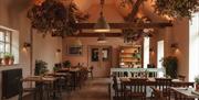 cafe room with tables and plants hanging from the ceiling and low lighting