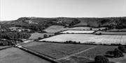 View of the Vineyard