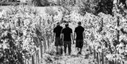 Three men walking to Harvest