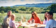 guests enjoying a meal and a drink overlooking the South Downs