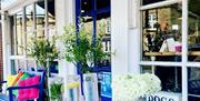 Fitzcane's cafe outside|Outside image of Fitzcanes cafe in Midhurst