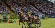2 horse buggy race at hickstead with large spectator stand in background