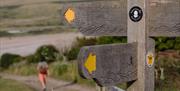 wooden trail signs and person walking in the background