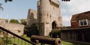 Lewes Castle exterior showing tower and old cannon in foreground
