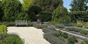 Medicinal garden in merriments gardens
