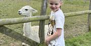 girl smiling next to a llama in a pen
