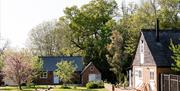 View of cottages from the front with trees behind the houses