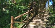 Steps to the cabin