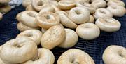 The is a photo of plain bagels