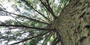 Connecting with nature