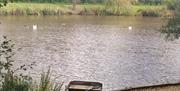 The Lake