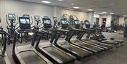 treadmill machines in a gym