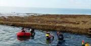 Group of snorkellers being guided around the Inner Mulberry wreck at Pagham harbour