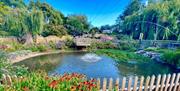 A large pond with fountains, on a sunny day, surrounded by weeping willows and beautiful flower beds.