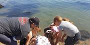 Group looking into a rock pool at the beach