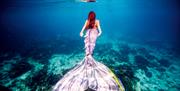 Blue shallow water with lady in Mermaid tail swimming towards the surface