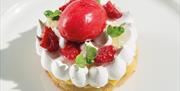 Lemon & Olive Oil Sponge with Sorbet