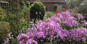 Photograph of Horsham Museum garden in summer. Large number of flowers blooming.