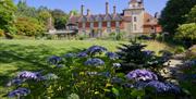 National Trust Standen House and garden with flowers boarded by trees