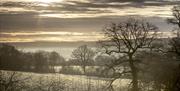 National Trust Standen landscape in winter, snowy fields and bare trees