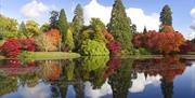 Autumn colour reflected in the lake at Sheffield Park and Garden