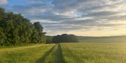 Sunny image of Newhouse farm camping, wide open space on a cloudy but bright day