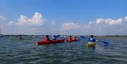 A group of people kayaking on Chichester Harbour