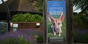 Raystede entrance sign and flower bed border