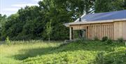 A timber clad holiday lodge set in a wildlife meadow with trees in the background.