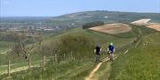 Cyclists on the South Downs Way near Steyning
