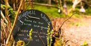 bluebell wood sign from the fairies and gnomes