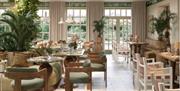 the dining area
